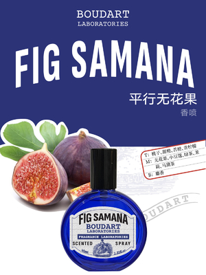 FIG SAMANA Spray corporal Lime e óleo de fragrância de musco concentrado com óleo essencial de cravo