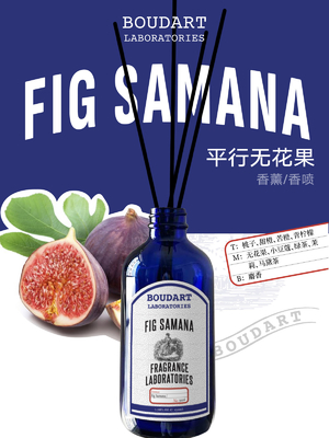 FIG SAMANA Reed Diffuser Aroma Rattan Stick em estilo de design elegante com notas de pêssego