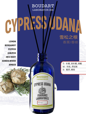 CYPRESS UDANA Reed Diffuser Wholesale OEM Perfumes decoração residencial garrafas de vidro natural óleo essencial aroma bastões de ratão