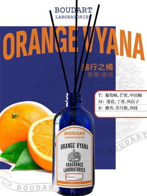 OEM Reed Diffuser Orange Flavor And Cinnamon Base Botelho de vidro natural Perfume de fragrância