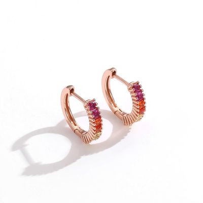 Arco-íris Sterling Silver Jewelry Earrings