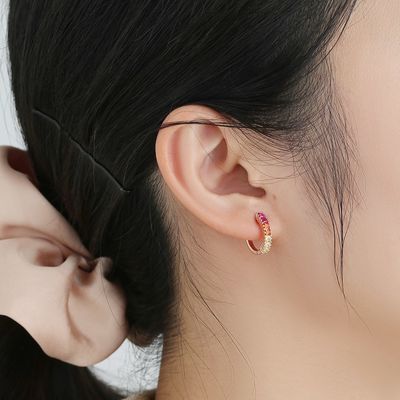 Arco-íris Sterling Silver Jewelry Earrings