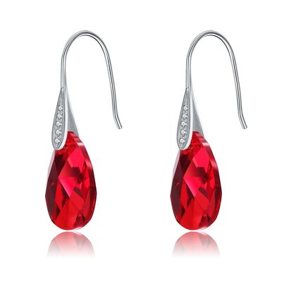 Gancho longo Sterling Silver Jewelry Earrings