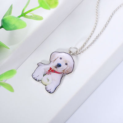 colar personalizada na moda de prata 2.2cm feita sob encomenda da etiqueta de cão das colares S925 de 0.87in